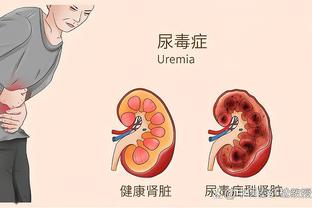 新利体育在线登录官网入口网址截图4